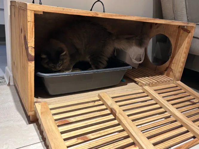 Vendo Banheiro para Gatos