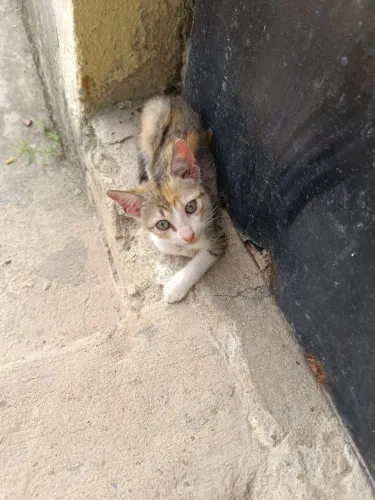 Doação 