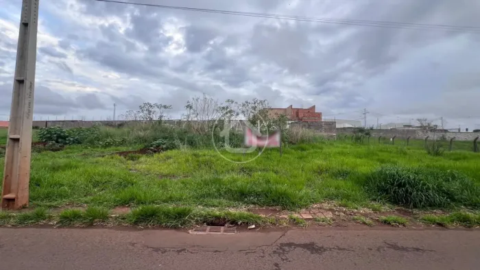 TERRENO - NO ASFALTO - MONTE CASTELO
