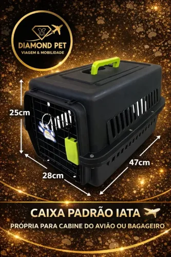Caixa de transporte N°01