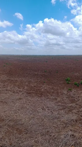 2.606 ha a venda em Uruçuí-PI