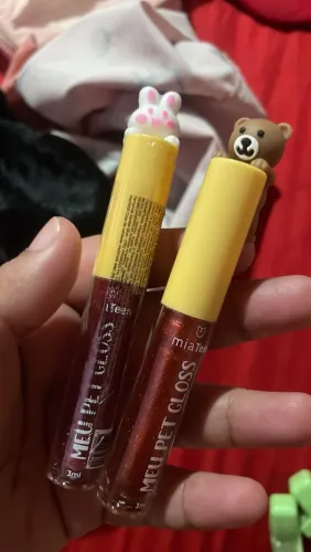 Lip gloss pet