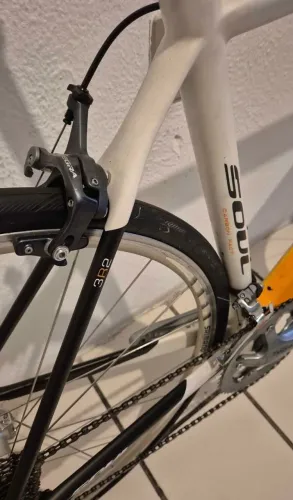 Bike SOUL 3R2 / Tamanho 54 em CARBONO