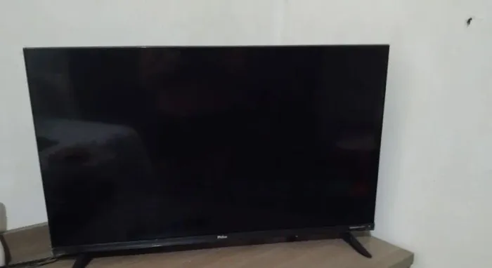 Vendo televisão