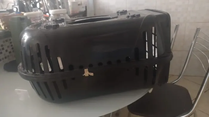Casa de transporte para animais de pequeno Porte 