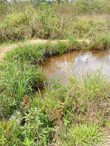 Terreno com lagoa no fundo 