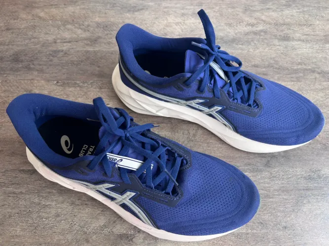 Tênis Asics Masculino Novablast 5 Azul 44