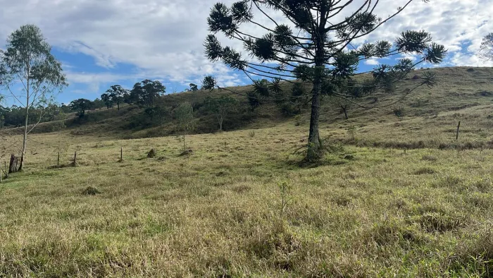 Três hectares próximo br 40