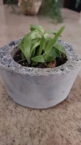 Mini vizinhos de cimento