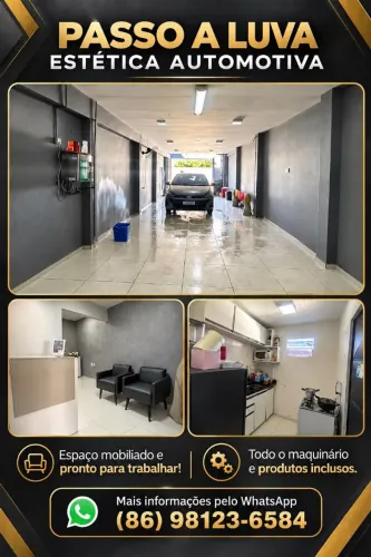 PASSO LUVA DE ESTÉTICA AUTOMOTIVA