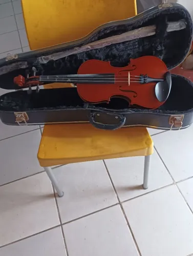Violino Parrot 19