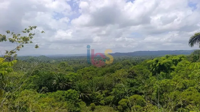 Vendo Area Rural 13Hectares Sambaituba - Aritagua - Ilhéus/Bahia