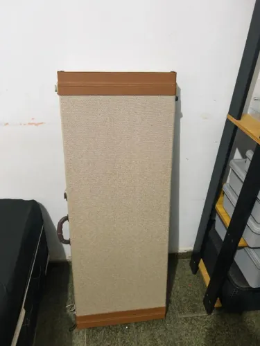 Case Pra Guitarra (Serve em Vários modelos)