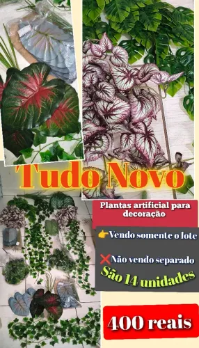 Plantas