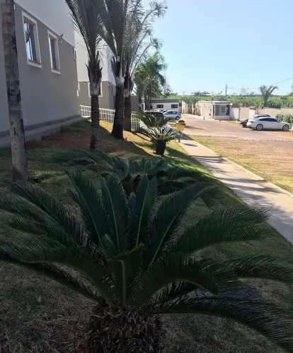 Vendo apartamento na entrada do Valparaíso