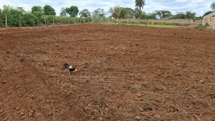 Vende se chácara 2.000m2 são Joaquim de Bicas