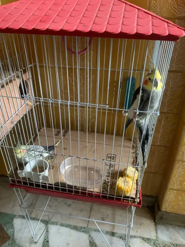Gaiolas