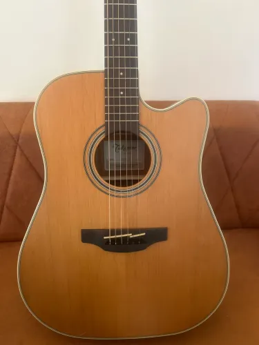 Takamine gd20