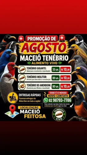 Larvas do tenebrio