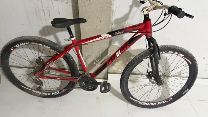 Bicicleta aro 29