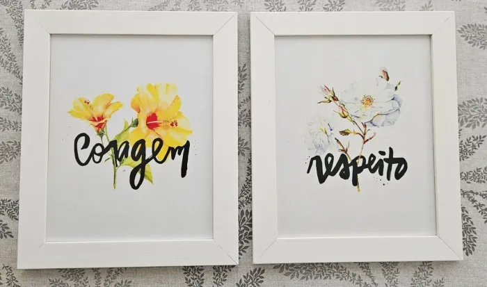2 quadros 25x30cm