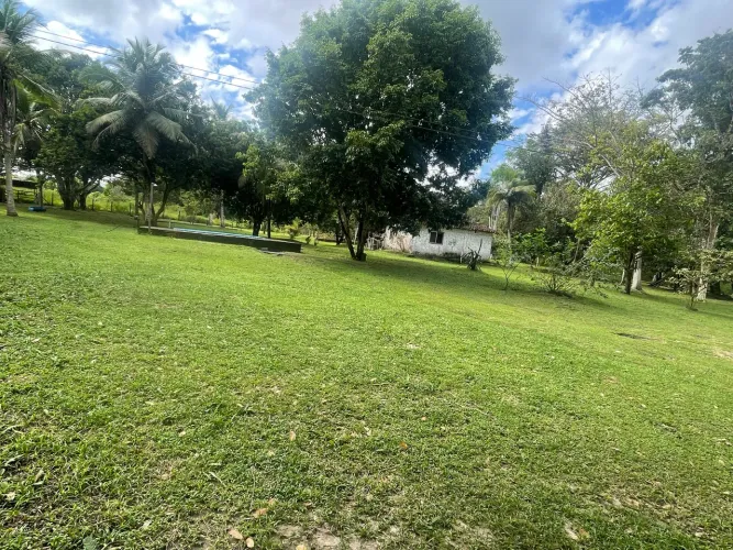 Vendo sítio