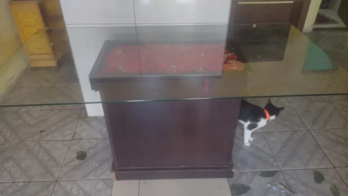 Uma mesa de vidro em bom estado