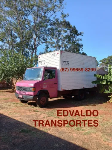 Frete e Mudança Campo Grande e MS