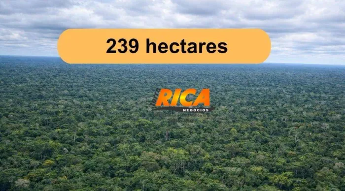Excelente Área de Mata à Venda  239 Hectares em Candeias do Jamari/RO