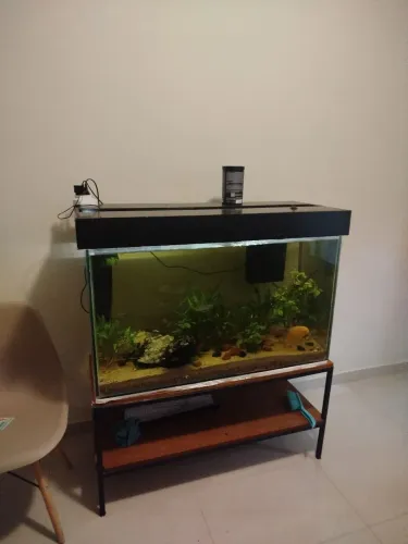 Aquário 240 litros