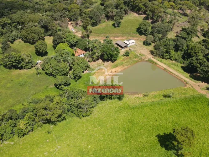 Chácara 10 Alqueires (48,4 hectares) Bonfinópolis - GO