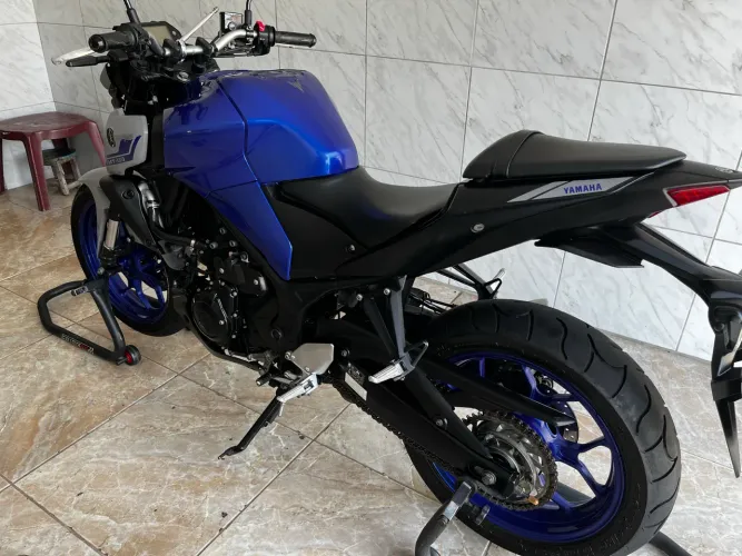 Mt03