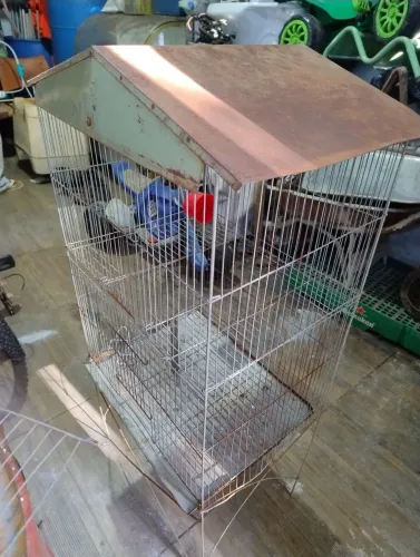 Gaiola de periquitos
