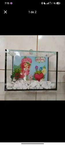 Aquário beteira Moranguinho 