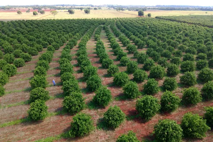 Arrendo terreno tomar do geru sergipe