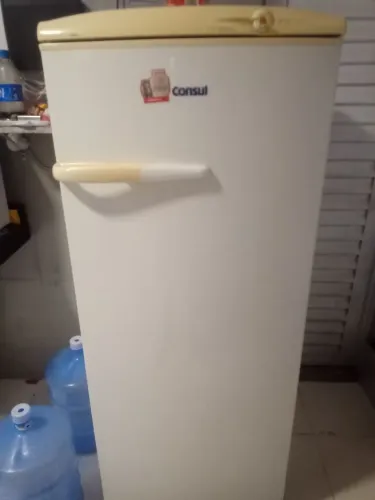 Geladeira 320 litros