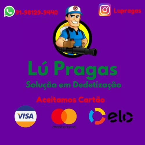 Dedetização proficional aparti de 50 reais