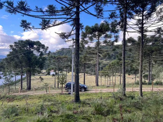 Sítio 2 hectares - São Joaquim SC - próx divisa Urubici.