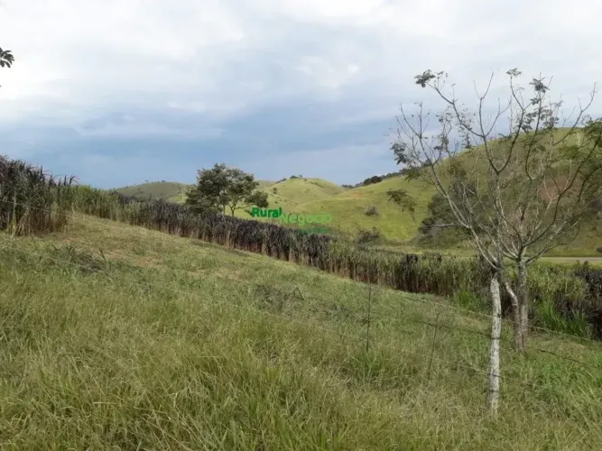 SITIO EM CUNHA - SP ( FRENTE AO ASFALTO)