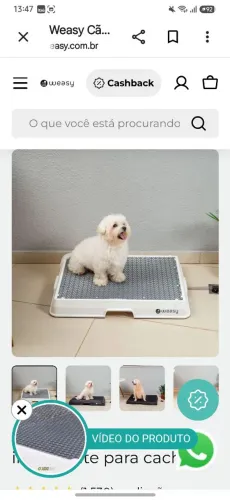TAPETE HIGIÊNICO PET WEASY