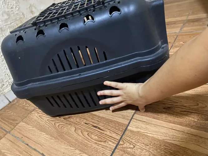 caixa de transporte para cachorros e gatos