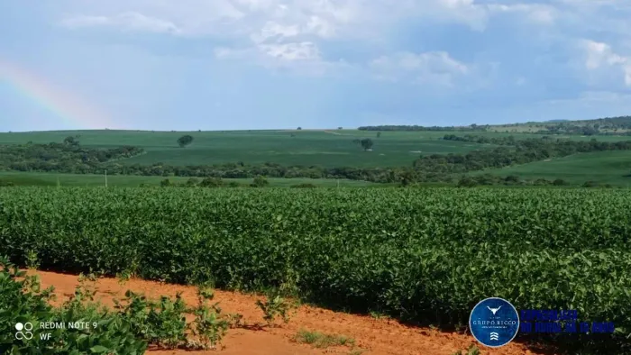 Fazenda à Venda em Doverlândia GO | 433 Alqueires | 290 em Lavoura