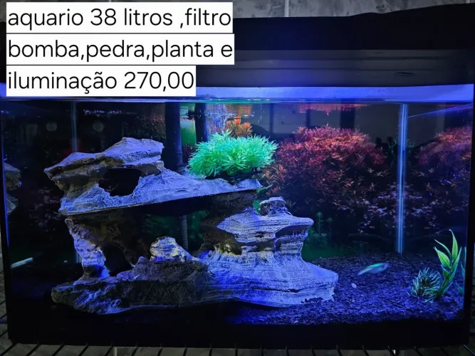Aquario