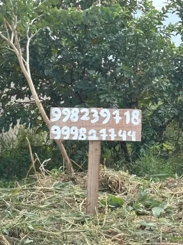 Terreno no Village