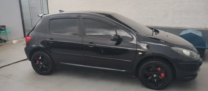 Peugeot 307 Feline 2.0/2.0 Flex 16V 5P Mec. 2008