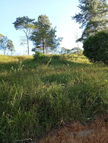 Terreno rural
