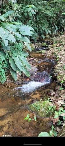 Terreno lindo para chácara 4200 m² no bairro oliveira em tijucas