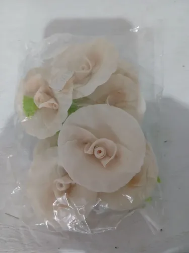 FLORES DE BISCUIT