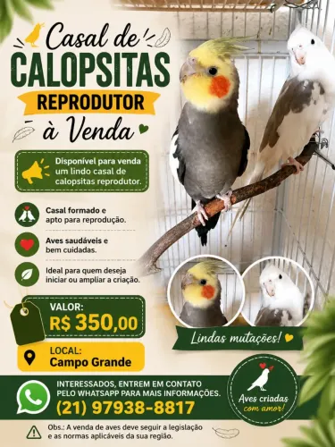 A venda
