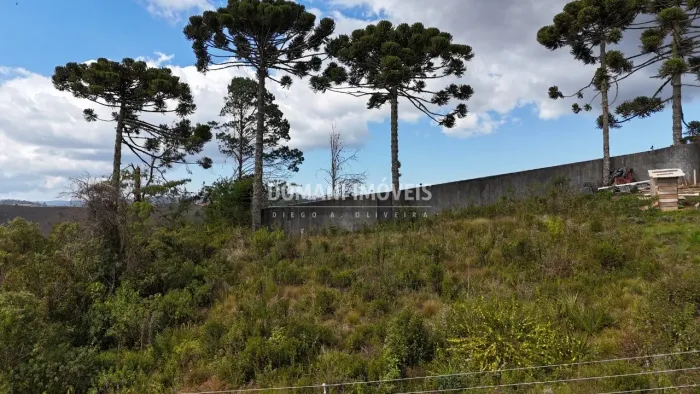 Oportunidade de Terreno à Venda na Região do Alto do Capivari - Campos do Jordão/SP